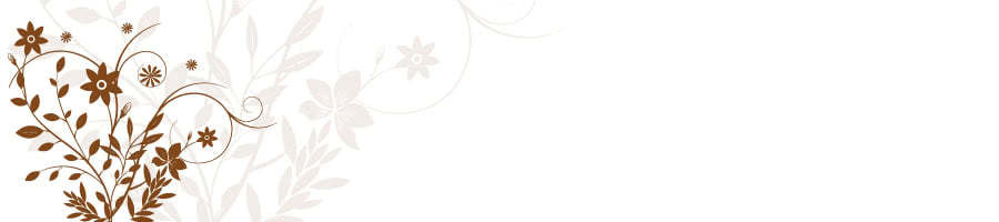 �����̐����I�炪������s��p�ł��ł����|�̃R�c